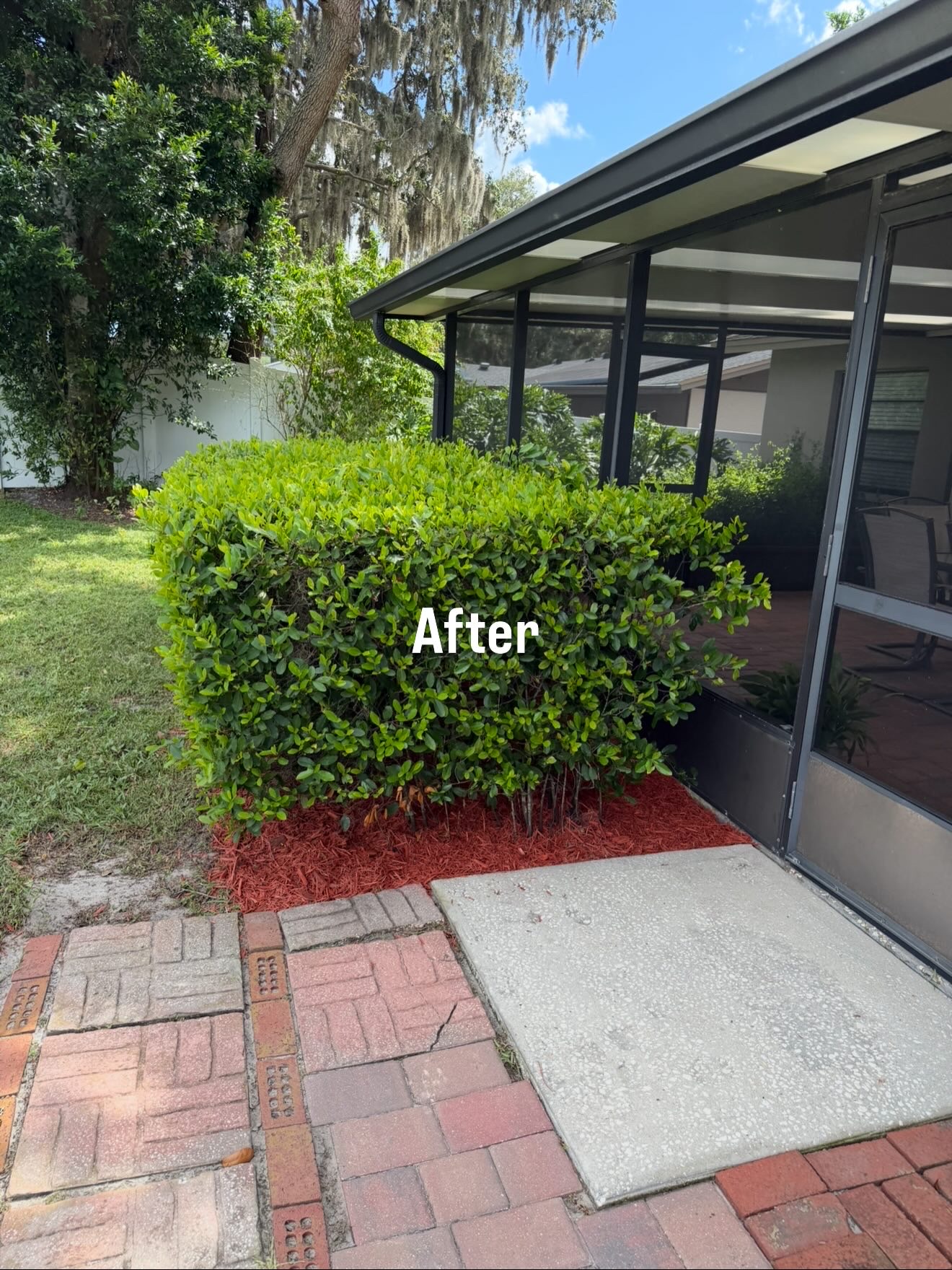 Completed hedge and mulch maintenance